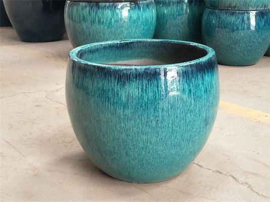 Pote al aire libre de cerámica azul esmaltado redondo de la planta verde de la flor